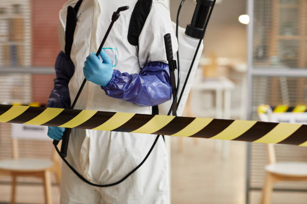 Professional Sewage Cleanup technician working in Waldo, AR